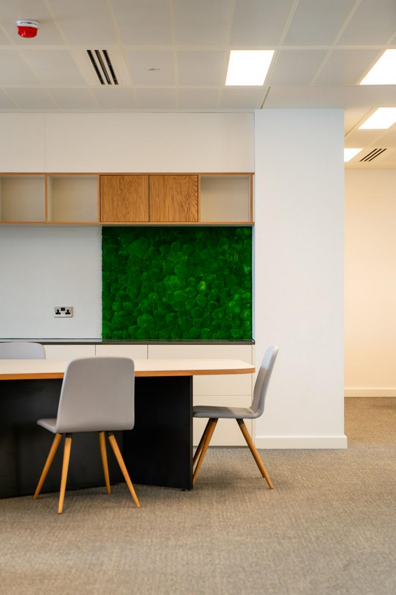 Photo of an office at 20 Orange Street WC2H 7EF