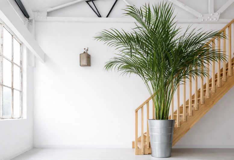 Image of an office at 5, Argall Avenue E10 7QE