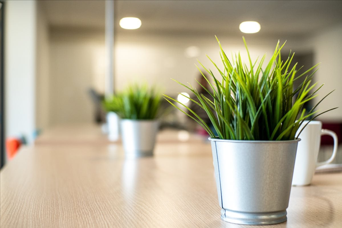 Image of the workspace at Fleet House, Springhead Enterprise Park, Springhead Road DA11 8HN