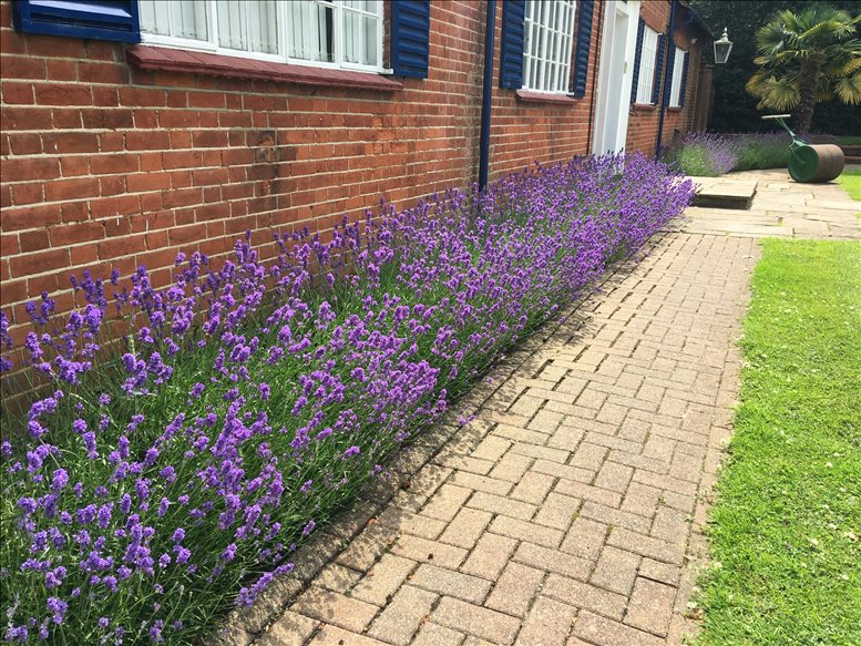 Photo of the office space available at High Road, Thornwood, Brickfield House, Essex CM16 6TH